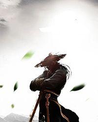 我是最强路人 雾雨风雾霭